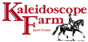 KALEIDOSCOPE FARM SPORT HORSES AND SPORT PONIES